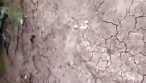 Desi Bhabhi Hot Aunty Outdoor Sex With Devar Bhabhi