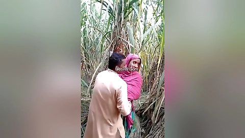 Today Exclusive- Village Lover Outdoor Fucking 1