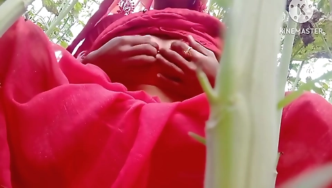 Desi Ragini Bhabhi Sarson Ke Khet Mein Outdoor Sex