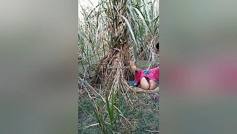 Today Exclusive- Village Lover Outdoor Fucking 3