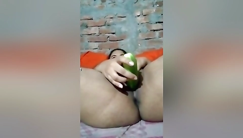 Sexy Bangla Girl Shows Her Boobs And Pussy 1