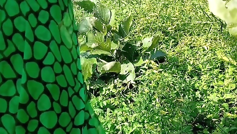 Indian Bhabi Give Me Blowjob On Ground