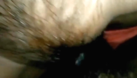 India Village Wife Blowjob Indian New Sex Wife Husband