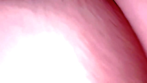 Stepsister Show Big Bobes Please Fuck Me Stepbrother Hard Sex Tomatobig